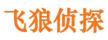 大通寻人公司